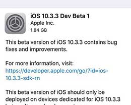 iOS10.3.3刷机_iOS10.3.3测试版刷机教程