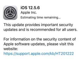 iOS 12.5.6 正式版升级_iOS 12.5.6 正式版一键刷机教程